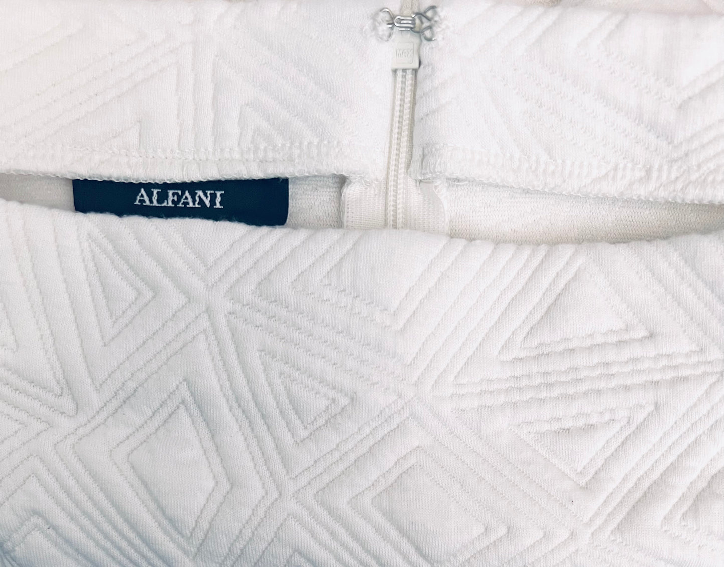 Alfani Ivory Skirt